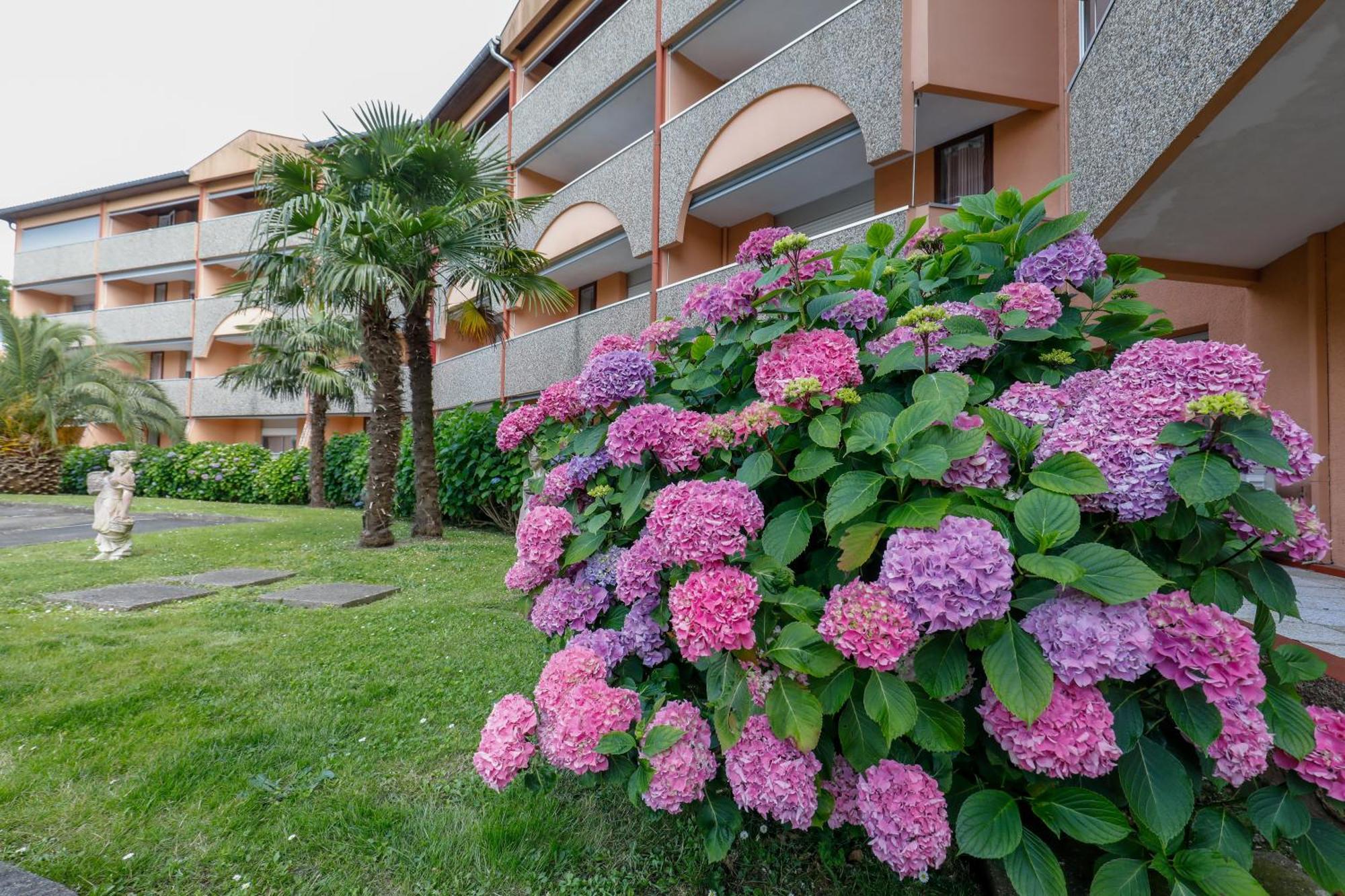 فندق Les Terrasses De Borda*** داكس المظهر الخارجي الصورة